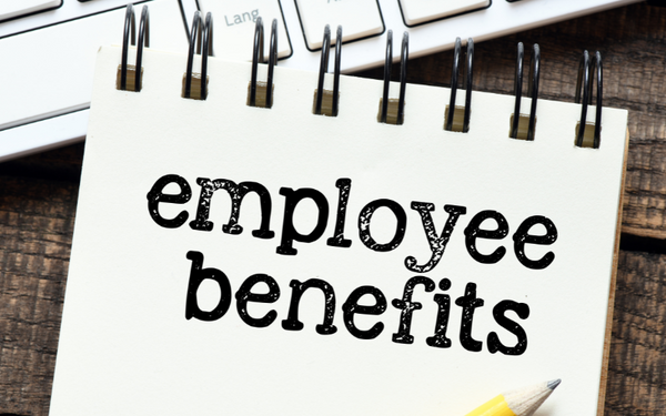 The Hidden Advantages: Benefits for Small Business Employees
